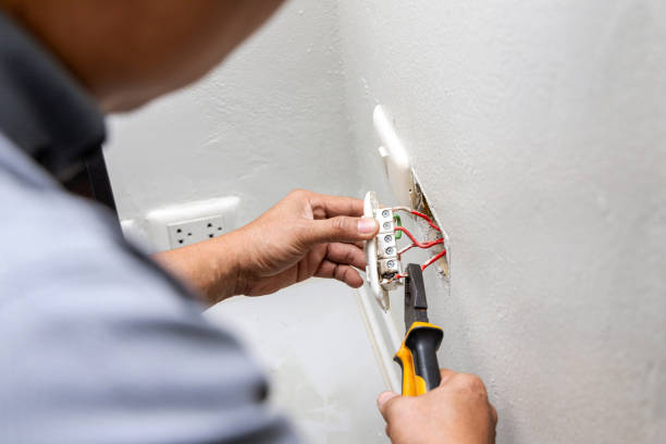 Best Electric Panel Repair  in Cahokia, IL